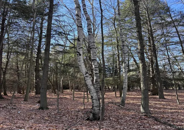 Photo 3 of Land for sale at Tbd 525 Ln, Menominee, MI 49858 | MLS# 50194265 | Listing updated on 2026-09-08