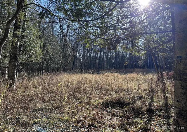 Photo 4 of Land for sale at Tbd 525 Ln, Menominee, MI 49858 | MLS# 50194265 | Listing updated on 2026-09-08