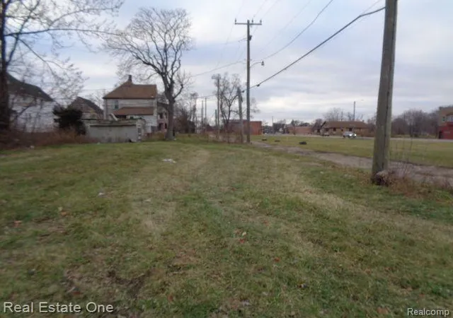 Photo 2 of Land for sale at 3523 Baldwin St, Detroit, MI 48214 | MLS# 60276600 | Listing updated on 2026-01-21