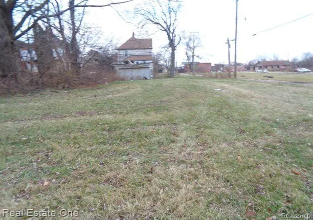 Photo 3 of Land for sale at 3523 Baldwin St, Detroit, MI 48214 | MLS# 60276600 | Listing updated on 2026-01-21