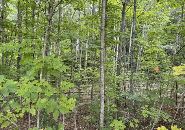 Homes for sale in Cedar, MI | Lot 4 E Old Mountain Rd, Cedar, MI 49621 | MLS# 80062022
