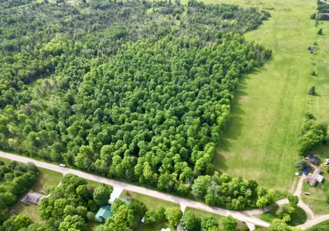 Homes for sale in Cornell, MI | Tbd River J5 Parcel A Rd, Cornell, MI 49818 | MLS# 50212087