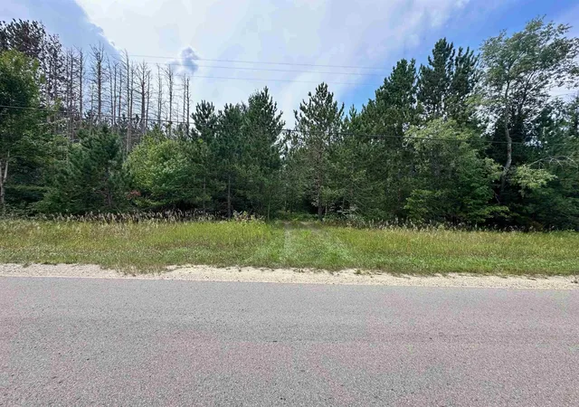 2nd image of 7658 Cedar River Rd, Mancelona, MI 49659 | MLS# 80072556