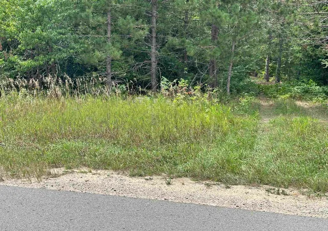 3rd image of 7658 Cedar River Rd, Mancelona, MI 49659 | MLS# 80072556