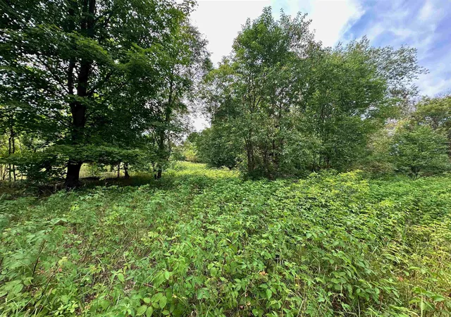 5th image of 7658 Cedar River Rd, Mancelona, MI 49659 | MLS# 80072556