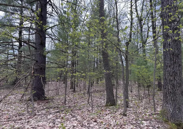 Homes for sale in Interlochen, MI | 11797 Country Acres Dr, Interlochen, MI 49643 | MLS# 80068466