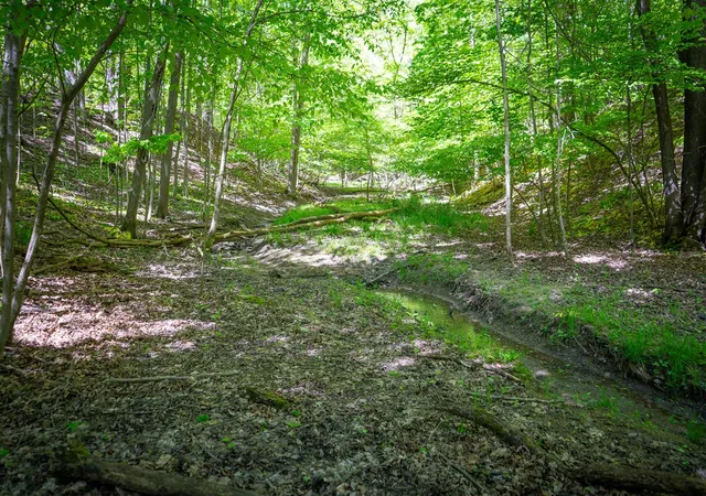 2nd image of V/l 8th Ave, South Haven, MI 49090 | MLS# 70535934