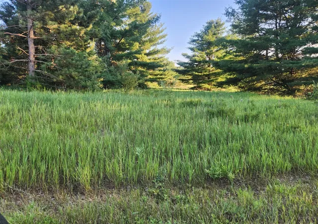 Photo 1 of Land for sale at 11535 Pierce Rd, Stanwood, MI 49346 | MLS# 70544045 | Listing updated on 2026-08-07