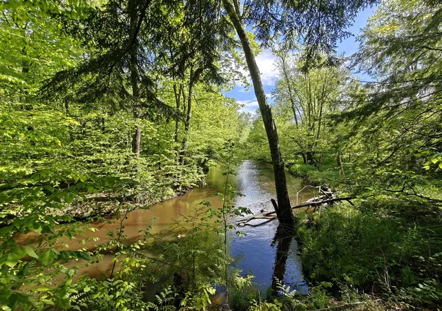 2nd image of 610 W Millerton Rd, Scottville, MI 49454 | MLS# 70469779