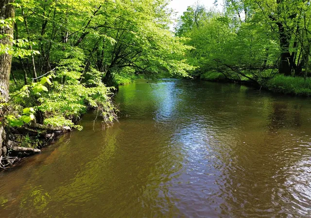 4th image of 610 W Millerton Rd, Scottville, MI 49454 | MLS# 70469779
