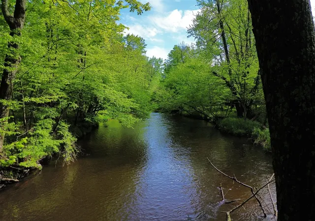 5th image of 610 W Millerton Rd, Scottville, MI 49454 | MLS# 70469779