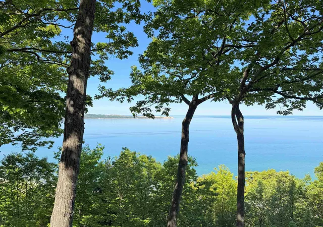 Homes for sale in Glen Arbor, MI | 9 Ridge Top, Glen Arbor, MI 49636 | MLS# 80069154