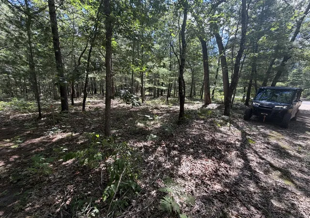 Photo 3 of Land for sale at Lot 14/15 S Star Lake Dr, Baldwin, MI 49304 | MLS# 70553727 | Listing updated on 2026-08-26