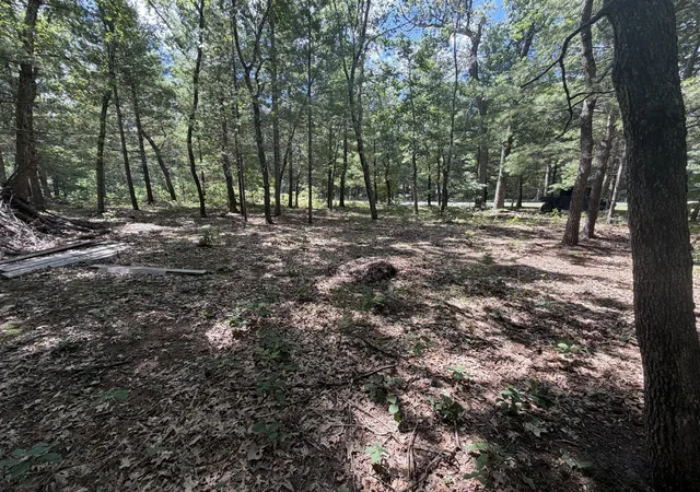 Photo 4 of Land for sale at Lot 14/15 S Star Lake Dr, Baldwin, MI 49304 | MLS# 70553727 | Listing updated on 2026-08-26