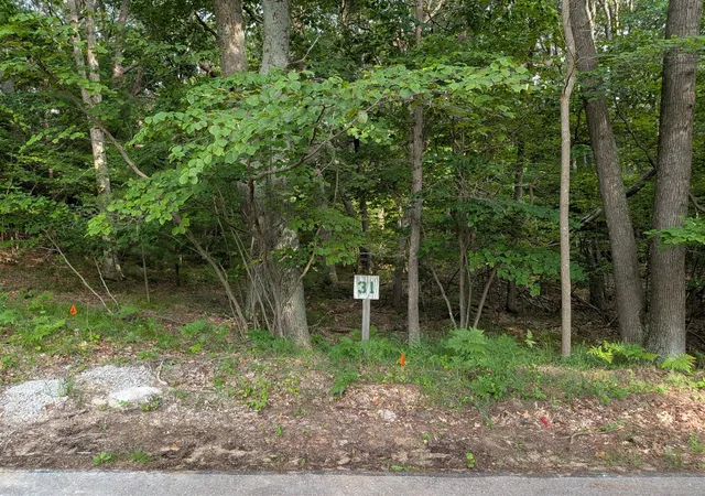 Photo 1 of Land for sale at N Silver Ridge Rd, Mears, MI 49436 | MLS# 70544569 | Listing updated on 2026-08-05