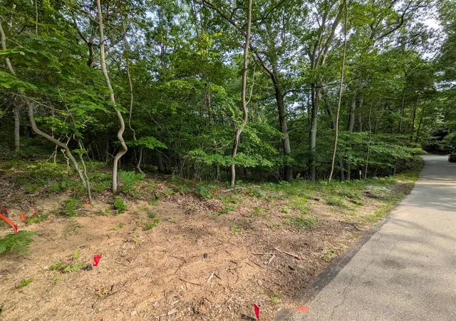 Photo 3 of Land for sale at N Silver Ridge Rd, Mears, MI 49436 | MLS# 70544569 | Listing updated on 2026-08-05