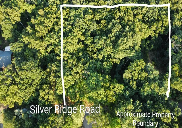 Photo 4 of Land for sale at N Silver Ridge Rd, Mears, MI 49436 | MLS# 70544569 | Listing updated on 2026-08-05