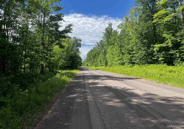 Homes for sale in Pelkie, MI | 470 Acres Laird Rd, Pelkie, MI 49958 | MLS# 50213319