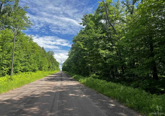 Homes for sale in Pelkie, MI | 470 Acres Laird Rd, Pelkie, MI 49958 | MLS# 50213319