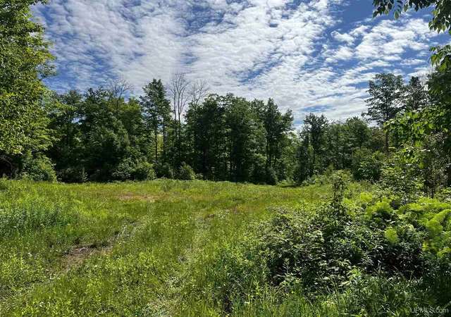 Homes for sale in Pelkie, MI | 470 Acres Laird Rd, Pelkie, MI 49958 | MLS# 50213319
