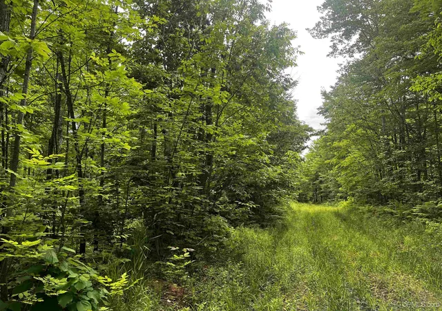 Homes for sale in Pelkie, MI | 470 Acres Laird Rd, Pelkie, MI 49958 | MLS# 50213319