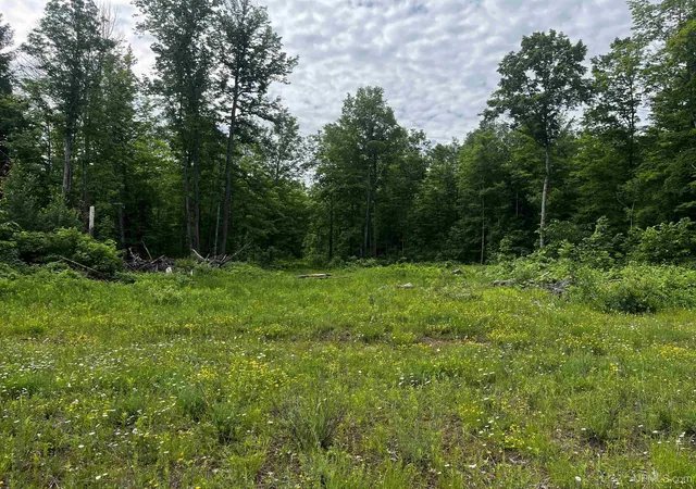 Homes for sale in Pelkie, MI | 470 Acres Laird Rd, Pelkie, MI 49958 | MLS# 50213319