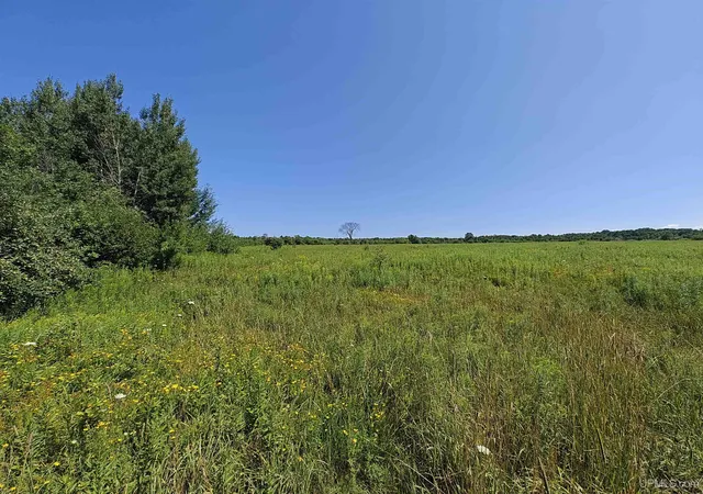 Photo 3 of Land for sale at Tbd Daniels Rd, Ontonagon, MI 49953 | MLS# 50217980 | Listing updated on 2026-09-23