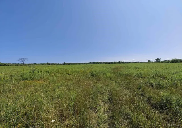 Photo 3 of Land for sale at Tbd Daniels Rd, Ontonagon, MI 49953 | MLS# 50217980 | Listing updated on 2026-09-23