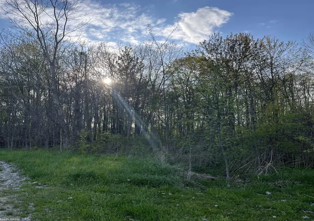 Photo 3 of Land for sale at 0 Fox Ridge 1 A Ln, Allenton, MI 48002 | MLS# 50220363 | Listing updated on 2026-09-16
