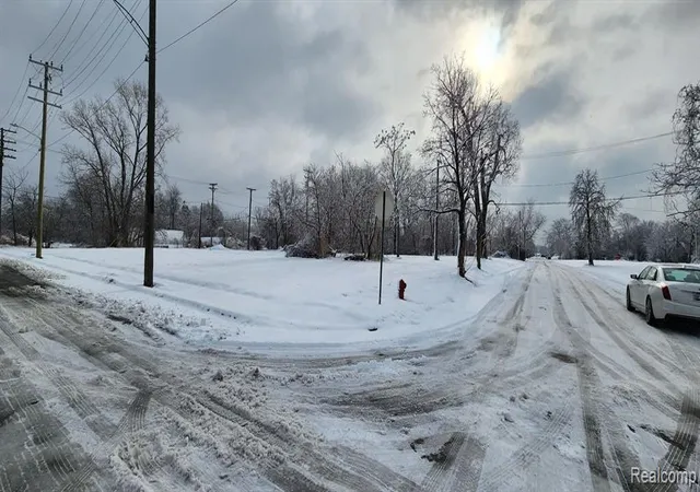 Photo 2 of Land for sale at 2739 Buchanan St, Detroit, MI 48208 | MLS# 60973736 | Listing updated on 2026-07-07