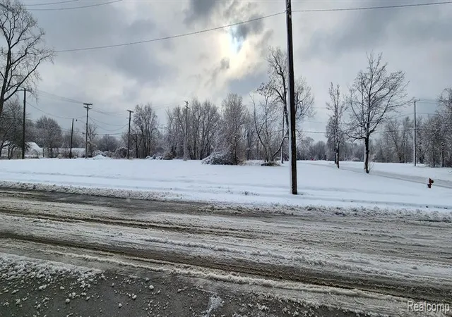 Photo 3 of Land for sale at 2739 Buchanan St, Detroit, MI 48208 | MLS# 60973736 | Listing updated on 2026-07-07