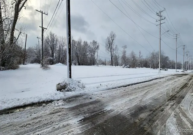 Photo 3 of Land for sale at 2739 Buchanan St, Detroit, MI 48208 | MLS# 60973736 | Listing updated on 2026-07-07