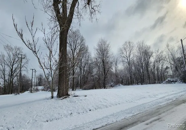 Photo 4 of Land for sale at 2739 Buchanan St, Detroit, MI 48208 | MLS# 60973736 | Listing updated on 2026-07-07