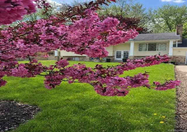 Photo 3 of Single family home for sale at 38185 Willowmere St, Harrison Township, MI 48045 | MLS# 61018835 | Listing updated on 2026-08-29