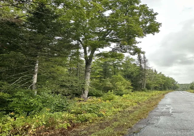 Photo 1 of Land for sale at Tbd Old Beechwood Rd, Iron River, MI 49935 | MLS# 50220381 | Listing updated on 2026-09-01