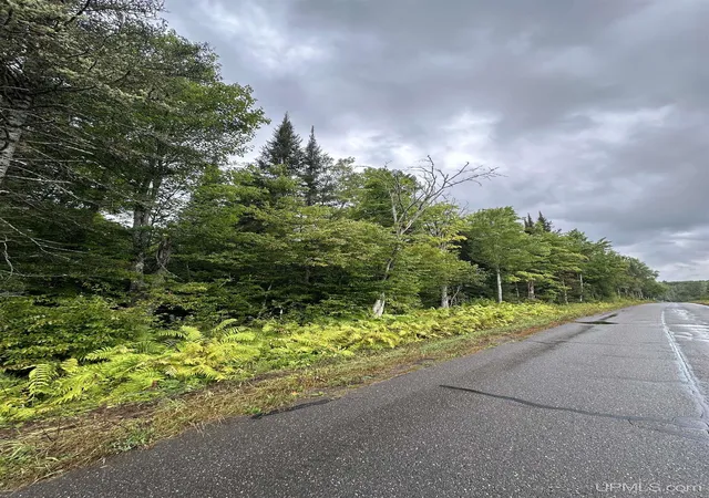 Photo 2 of Land for sale at Tbd Old Beechwood Rd, Iron River, MI 49935 | MLS# 50220381 | Listing updated on 2026-09-01
