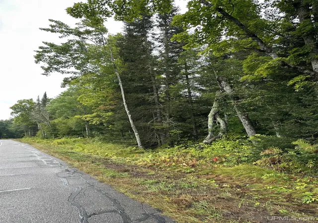 Photo 3 of Land for sale at Tbd Old Beechwood Rd, Iron River, MI 49935 | MLS# 50220381 | Listing updated on 2026-09-01