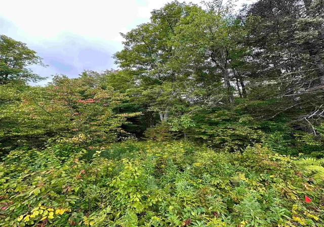 Photo 4 of Land for sale at Tbd Old Beechwood Rd, Iron River, MI 49935 | MLS# 50220381 | Listing updated on 2026-09-01