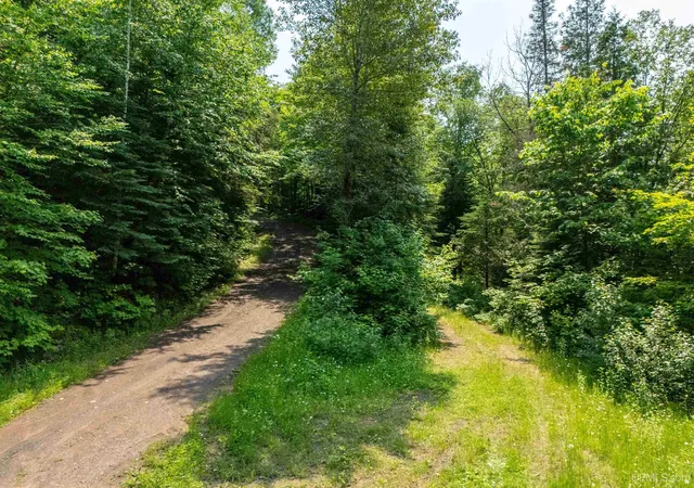 Homes for sale in Iron River, MI | Tbd Pollack Rd, Iron River, MI 49935 | MLS# 50213724