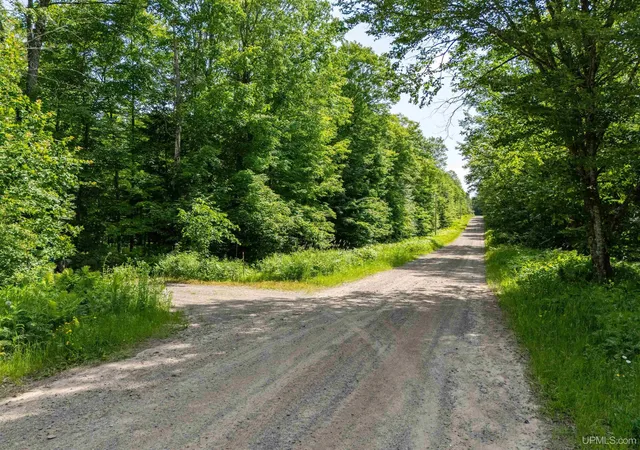 Homes for sale in Iron River, MI | Tbd Pollack Rd, Iron River, MI 49935 | MLS# 50213724