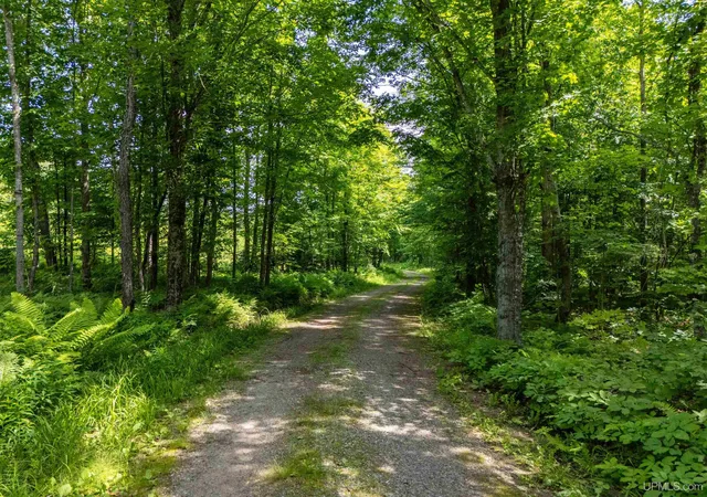 Homes for sale in Iron River, MI | Tbd Pollack Rd, Iron River, MI 49935 | MLS# 50213724
