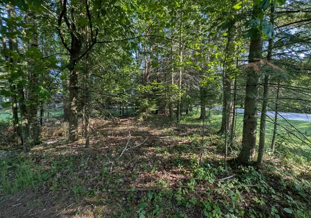 Photo 4 of Land for sale at N Lake Shore Dr, Black River, MI 48721 | MLS# 80070616 | Listing updated on 2026-08-01