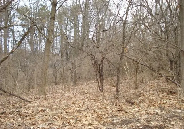 Photo 1 of Land for sale at 2300 Helena Ave, Jackson, MI 49203 | MLS# 70305854 | Listing updated on 2026-07-02