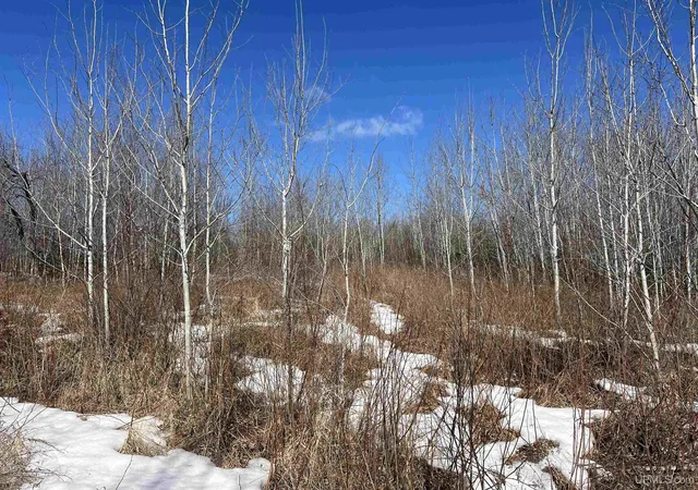 Homes for sale in Iron River, MI | Tbd Nordstrom Rd, Iron River, MI 49935 | MLS# 50198904