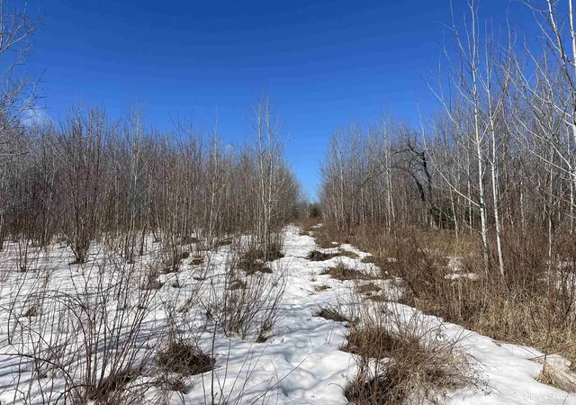 Homes for sale in Iron River, MI | Tbd Nordstrom Rd, Iron River, MI 49935 | MLS# 50198904