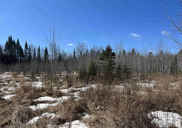 Homes for sale in Iron River, MI | Tbd Nordstrom Rd, Iron River, MI 49935 | MLS# 50198904