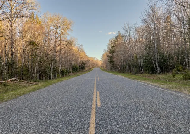 Photo 4 of Land for sale at Lot 3 Federal Forest Hwy 16, Iron River, MI 49935 | MLS# 70534081 | Listing updated on 2026-08-25