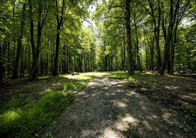 1st image of 0 Youngren Rd, Harbert, MI 49115 | MLS# 70458103