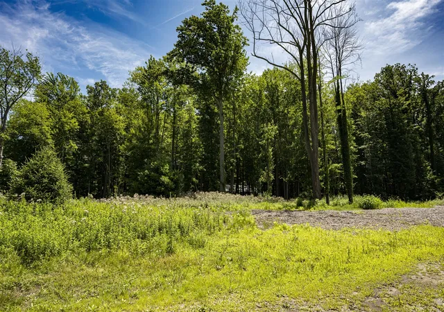 2nd image of 0 Youngren Rd, Harbert, MI 49115 | MLS# 70458103
