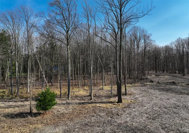 35th image of 0 Youngren Rd, Harbert, MI 49115 | MLS# 70458103